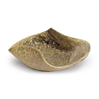 Kaiyu ware: ear dish.