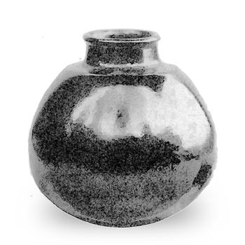 Tsukumonasu (Tsukumo eggplant)