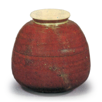 Sogo Nasubi (Sogo Eggplant)