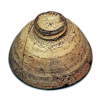 Takenofushi (Bamboo joints)