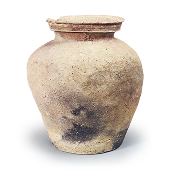 Shigaraki ware: jar.