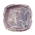 Gray Shino muközuke dish with grass design