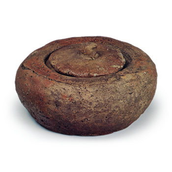 Shigaraki Shallow water jar