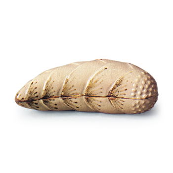 Incense caddy in the shape of a bamboo shoot, iron brown under glaze, Kiyomizu ware