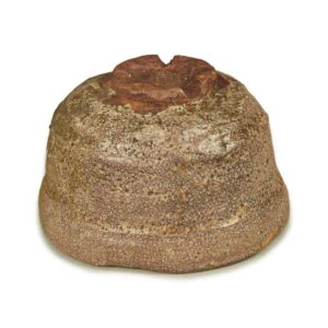 Hagi inscribed "Yukijishi"