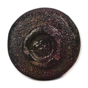 Black Tea Bowl, Sōnyū