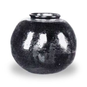 Kitano Eggplant