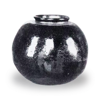 Kitano Eggplant