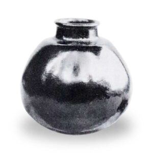 Tsukumo Eggplant