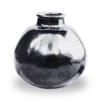 Tsukumo Eggplant