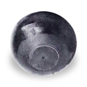 Tanegashima Eggplant