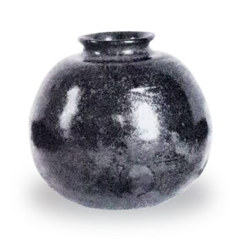 Kyogoku Eggplant (Daimeibutsu)