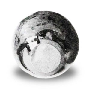 Iwaki Bunrin