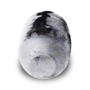 Zaichū-an