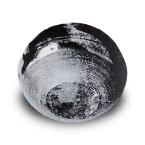 Seto Persimmon (Seto-gaki)