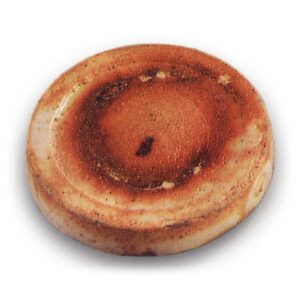 志野菊纹一字香合