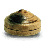 黄瀬戸 根太 香合