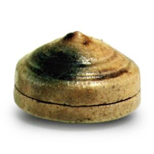 黄瀬戸 根太 香合