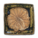 织部菊纹四方平鉢