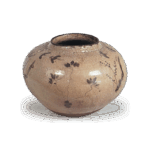 绘唐津水草飞鸟纹壶