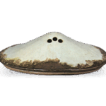 仁清锈绘富士山香炉 朝昼暮三态