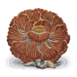 仁清彩绘牡丹砚屏