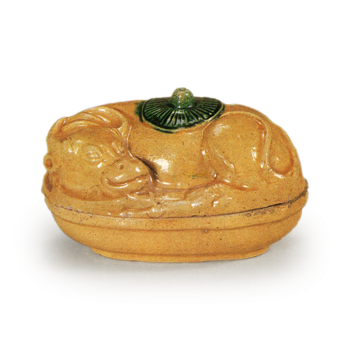 交趾 笠牛 （黄色）