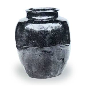 宫王肩冲