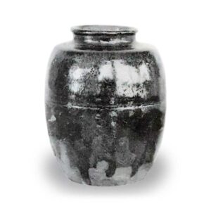 朱衣肩冲