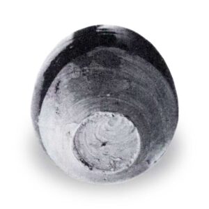常陆带肩冲