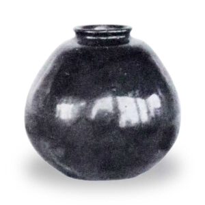种子茄子