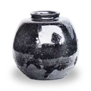 丰后茄子