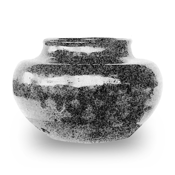 八重桜大海 やえさくらだいかい