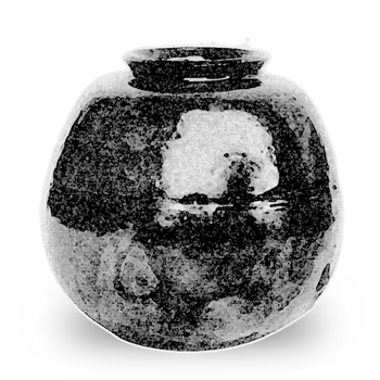 利休小茄子 りきゅうこなすび