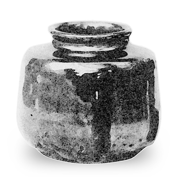 山桜 やまざくら