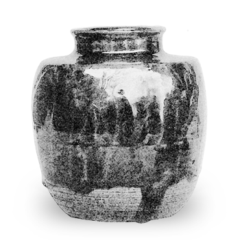 雪柳春慶 ゆきやなぎしゅんけい