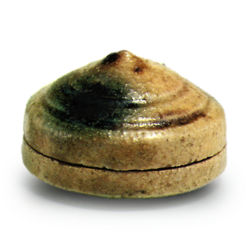 黄瀬戸 根太 香合