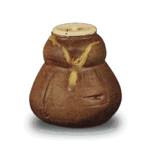 備前 耳付 矢筈口 水指 茶道具 桃山 胡麻 陶印 古備前 水指（ 備前焼